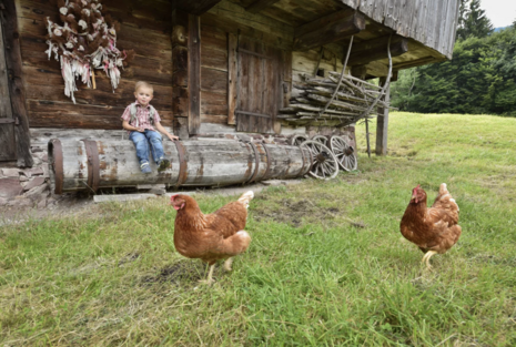 Museum Tiroler Bauernhöfe (c) Alpbachtal Tourismus Grießenböck Gabriele